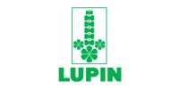 Lupin